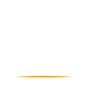 Logo de METISPORTS Formation la solution formation en alternance ou en initiale dans les métiers du sport, de l'animation et du marketing