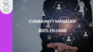 COMMUNITY MANAGER EN LIGNE