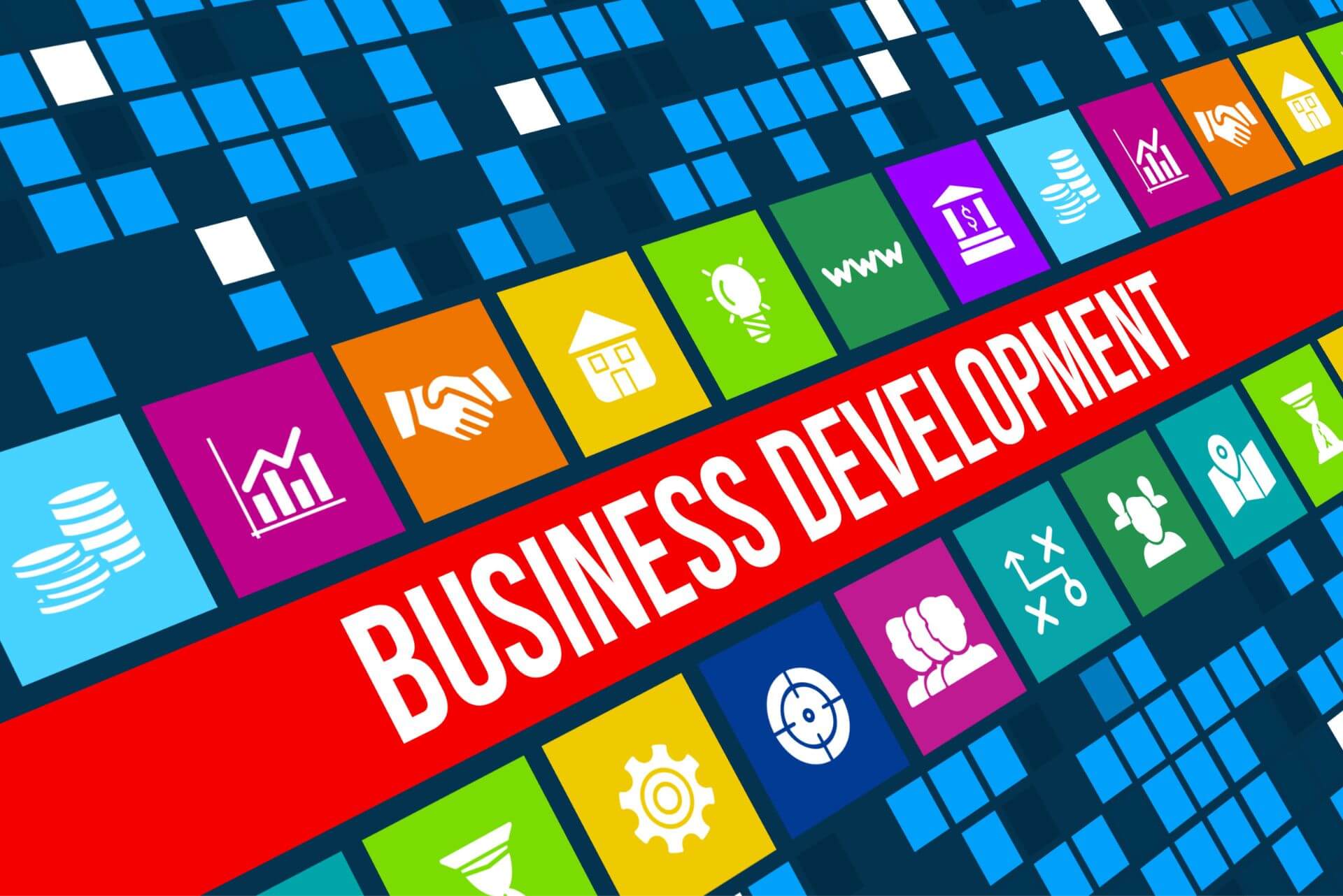 Business Developer Formation E-learning
